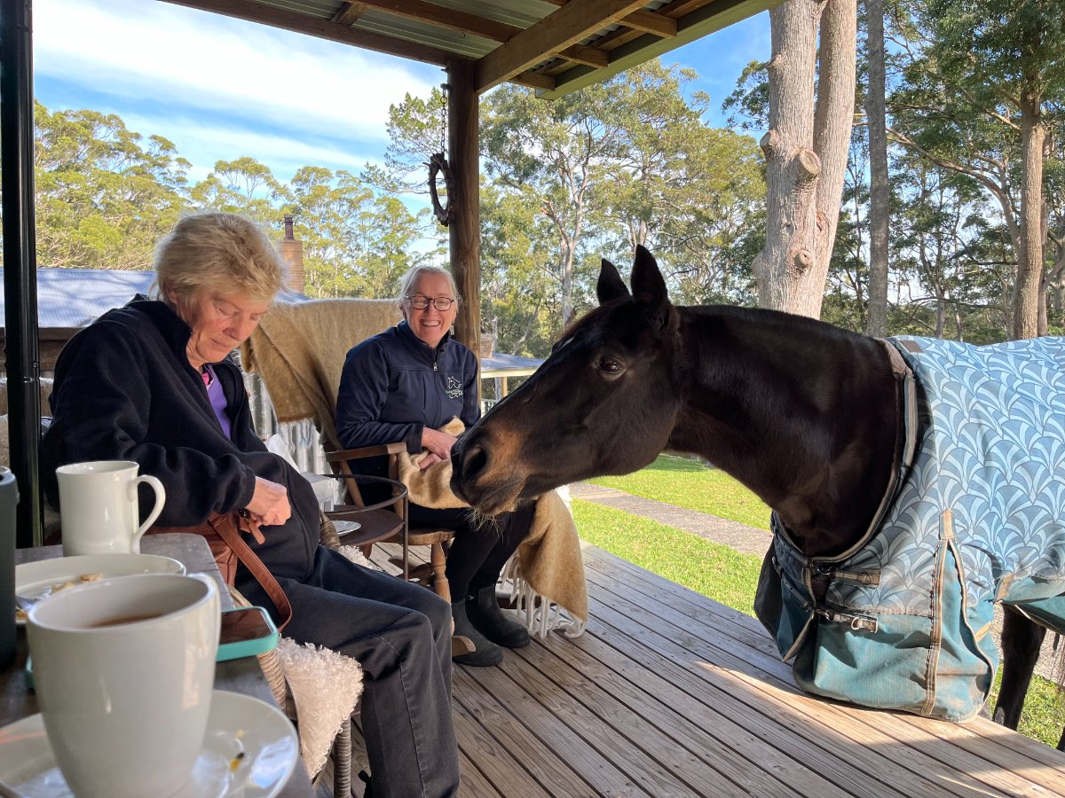 June At Dees with Banjo